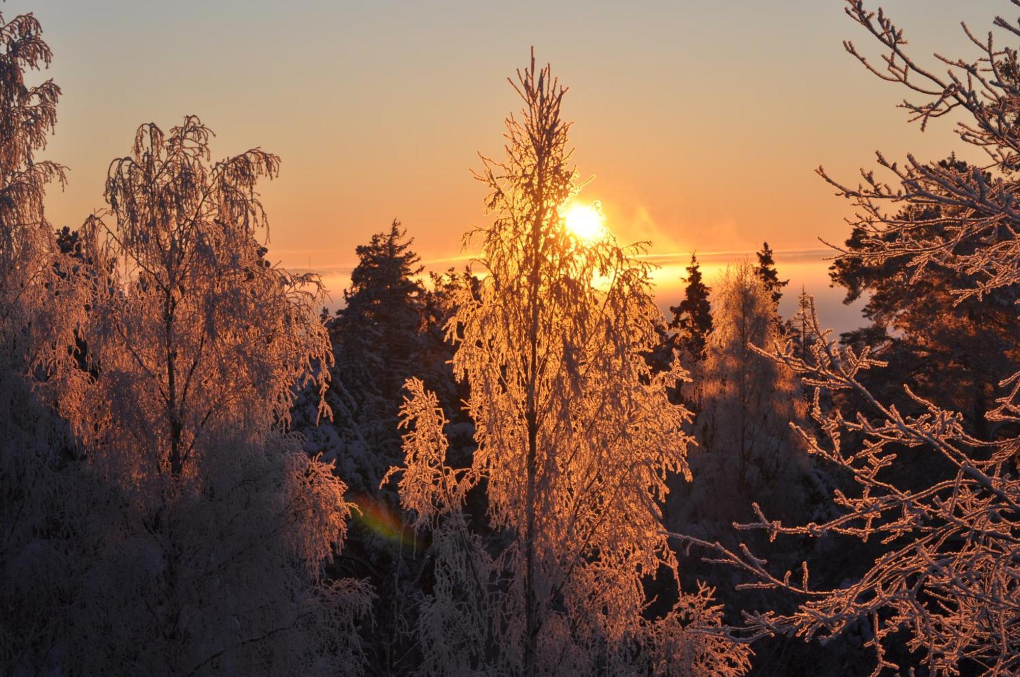 Vaihmalan Hovi Hotel Lempäälä Buitenkant foto